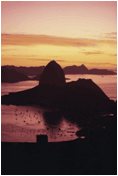 rio.gif